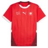 Switzerland Home Kit 2024