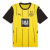 Borussia Dortmund Home Kit 2024/25